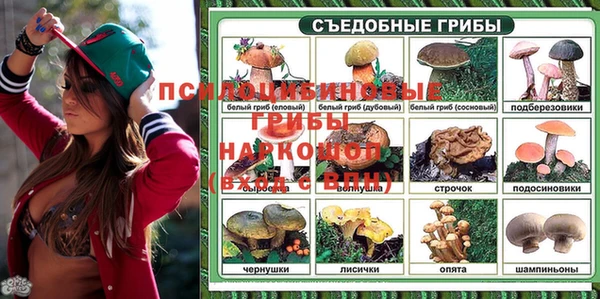 PSILOCYBIN Богородицк