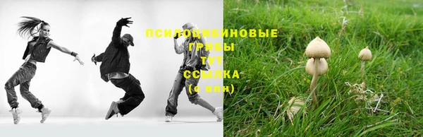 PSILOCYBIN Богородицк