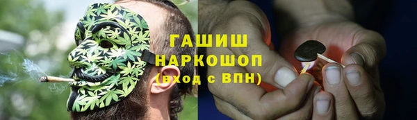 молекула духа Шарыпово