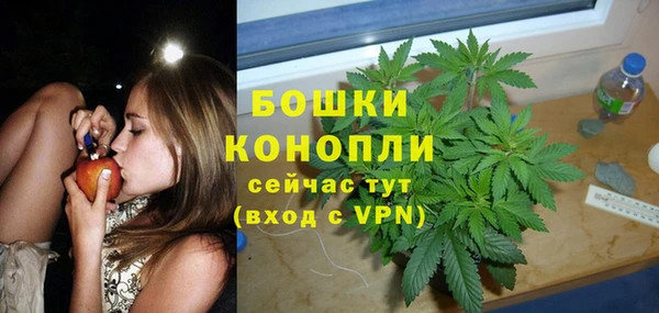 молекула духа Шарыпово