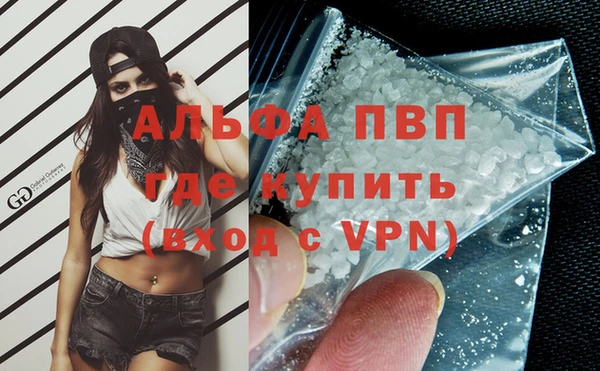 PSILOCYBIN Богородицк